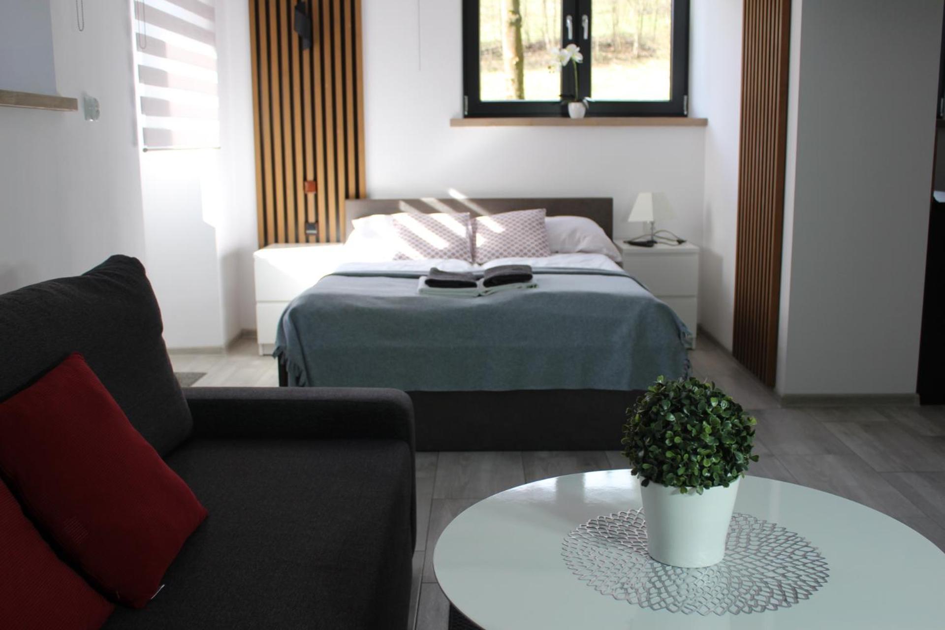 בוקוווינה טטז'אנסקה Apartamenty Swistak Maciej Dunajczan מראה חיצוני תמונה
